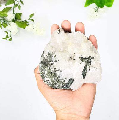 Hand holding Epidote in Quartz with white background