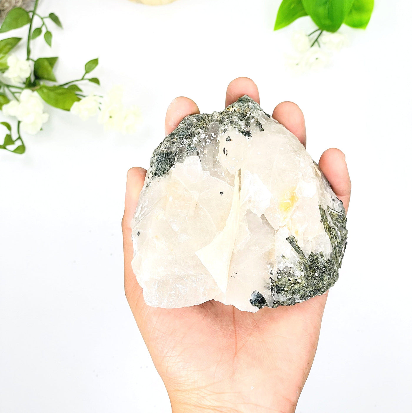 Hand holding the backside of Epidote in Quartz with white backround