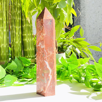 A vibrant Red Jasper standing under the natural lighting
