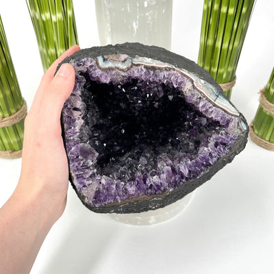 front of amethyst round cave geode on display in front of backdrop with hand for size reference