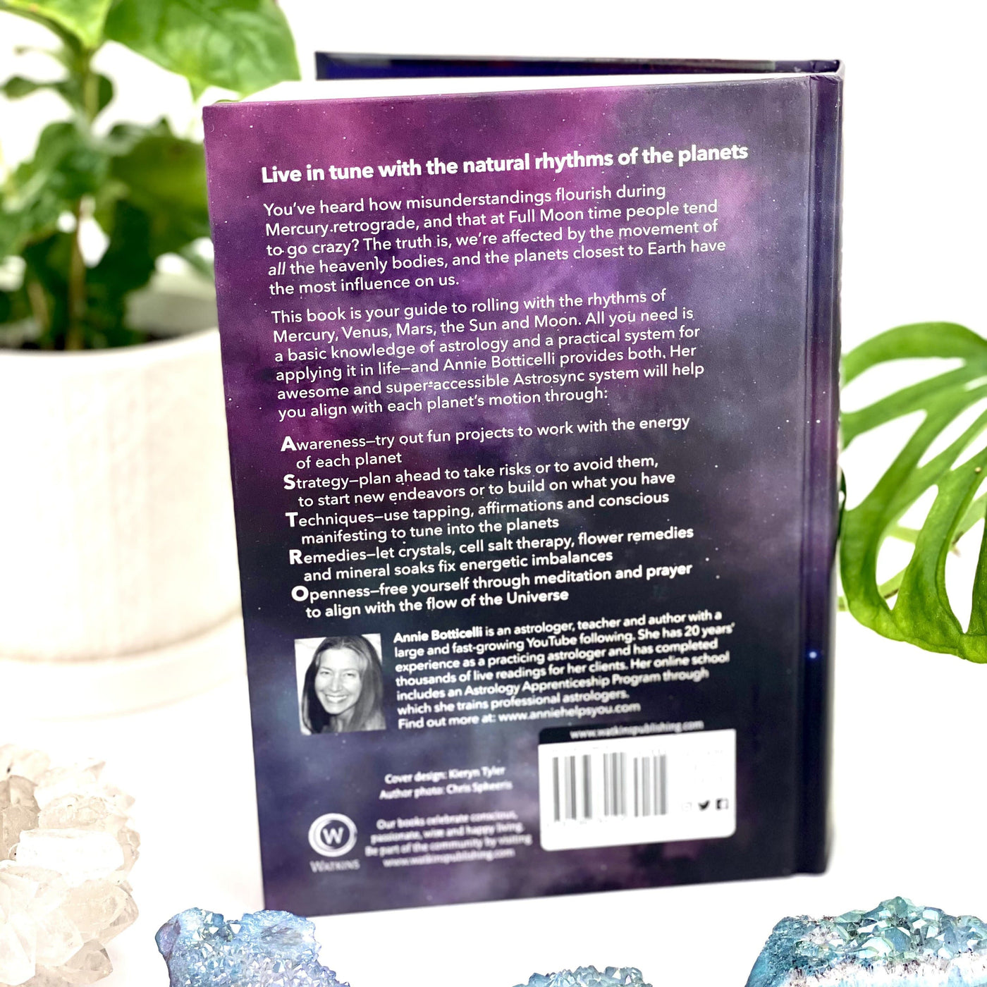 back view of Planetology : How To Align with The Natural Rhythms Of The Universe Book