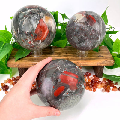 three african bloodstone polished spheres on display in clear stands for possible variations with one in hand for size reference