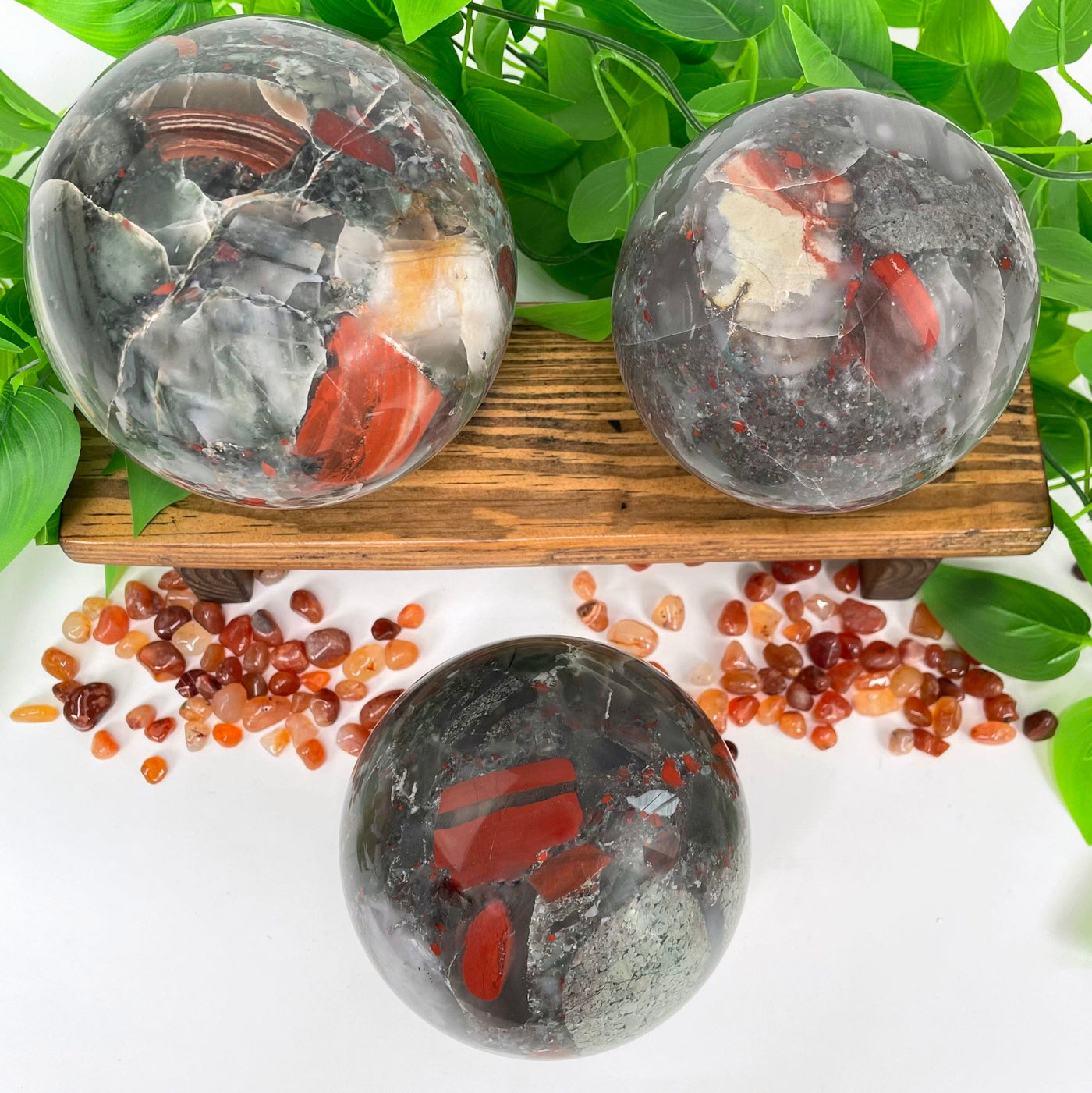 overhead view of three african bloodstone polished spheres on display for possible variations and sizes