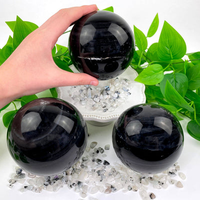 three black agate polished spheres on display for possible variations with one in hand for size reference