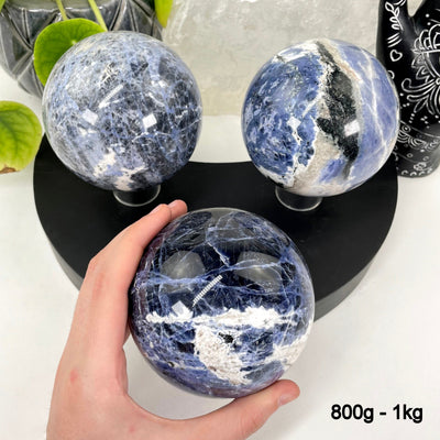 three 800g - 1kg sodalite polished spheres on display for possible variations with one in hand for size reference