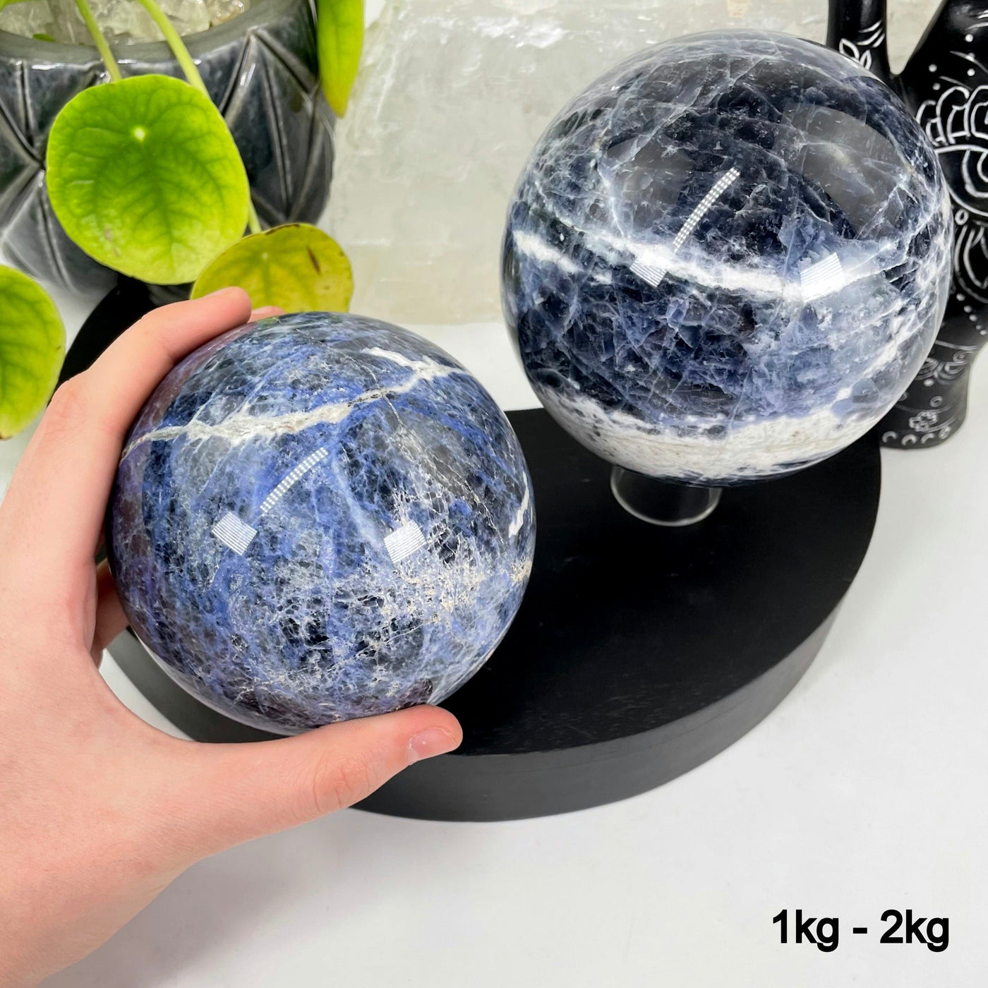 two 1kg - 2kg sodalite polished spheres on display for possible variations with one in hand for size reference