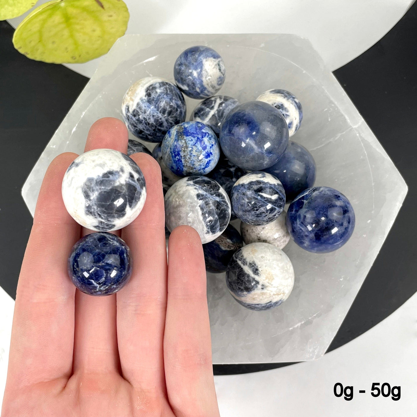 two 0g - 50g sodalite polished spheres in hand for size reference with many others in a bowl behind it for possible variations
