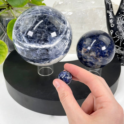 three different sodalite polished sphere weights on display for size comparison with one in hand for size reference