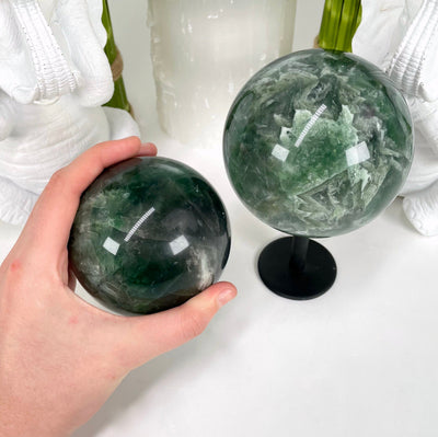 two different rainbow fluorite polished spheres on display in front of backdrop for size comparison with one in hand for size reference