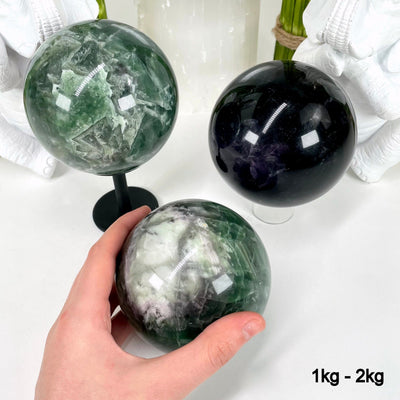 three 1kg - 2kg rainbow fluorite polished spheres on display in front of backdrop for possible variations with one in hand for size reference