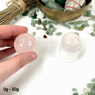 two 0g - 50g rose quartz polished spheres on display for possible variations with one of them in hand for size reference