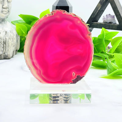 A vibrant Pink Dyed Agate on Acrylic stand