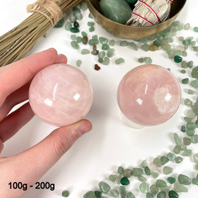 two 100g - 200g rose quartz polished spheres on display for possible variations with one of them in hand for size reference