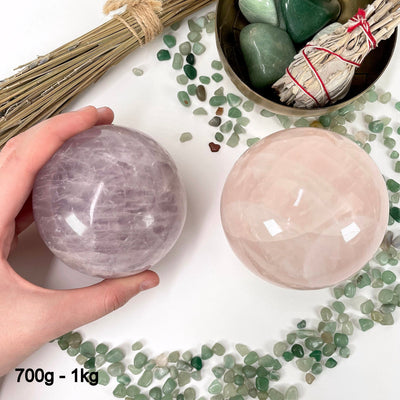two 700g - 1kg rose quartz polished spheres on display for possible variations with one of them in hand for size reference