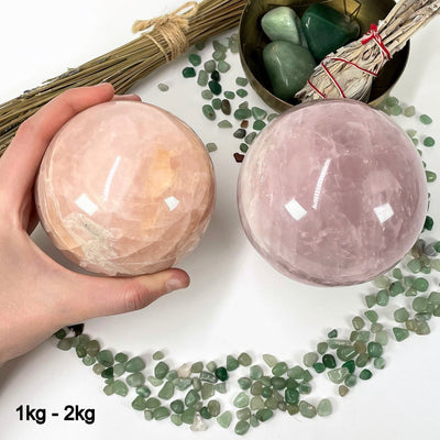 two 1kg - 2kg rose quartz polished spheres on display for possible variations with one of them in hand for size reference