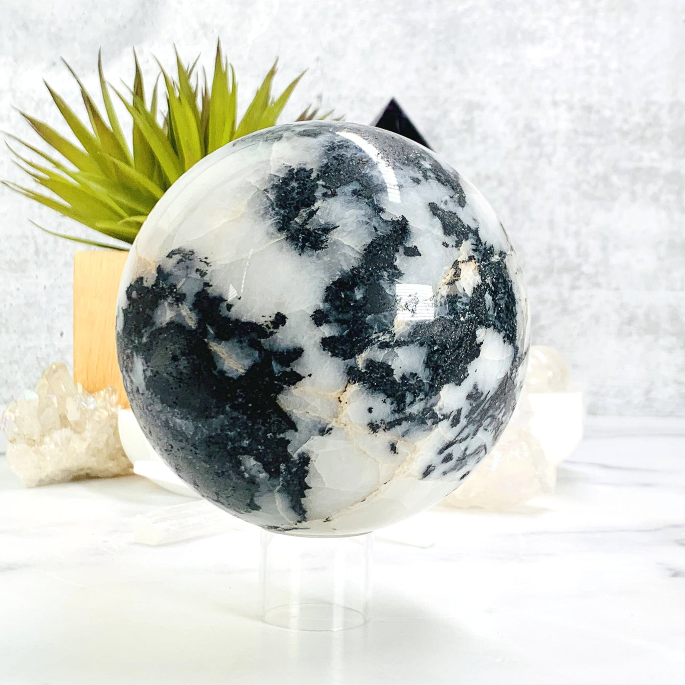 Zebra Jasper Polished Sphere on acrylic stand