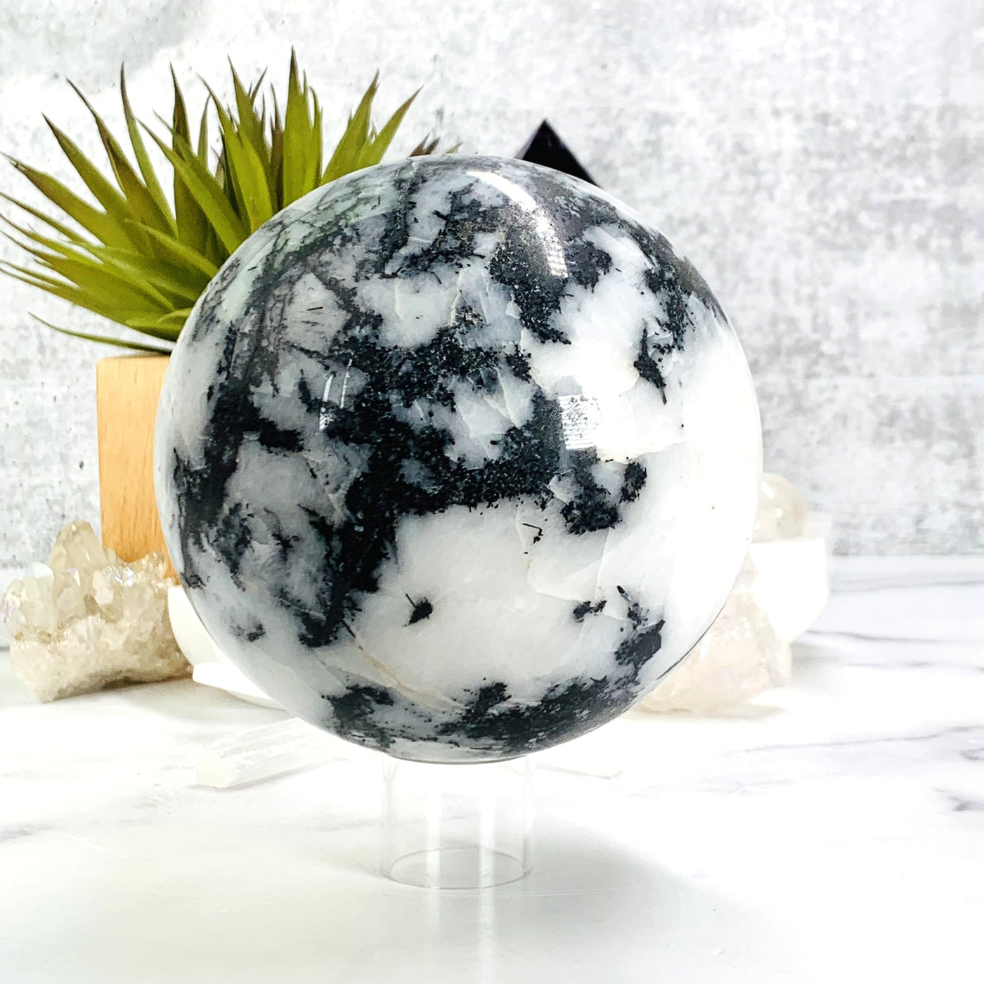 Zebra Jasper Polished Sphere on acrylic stand
