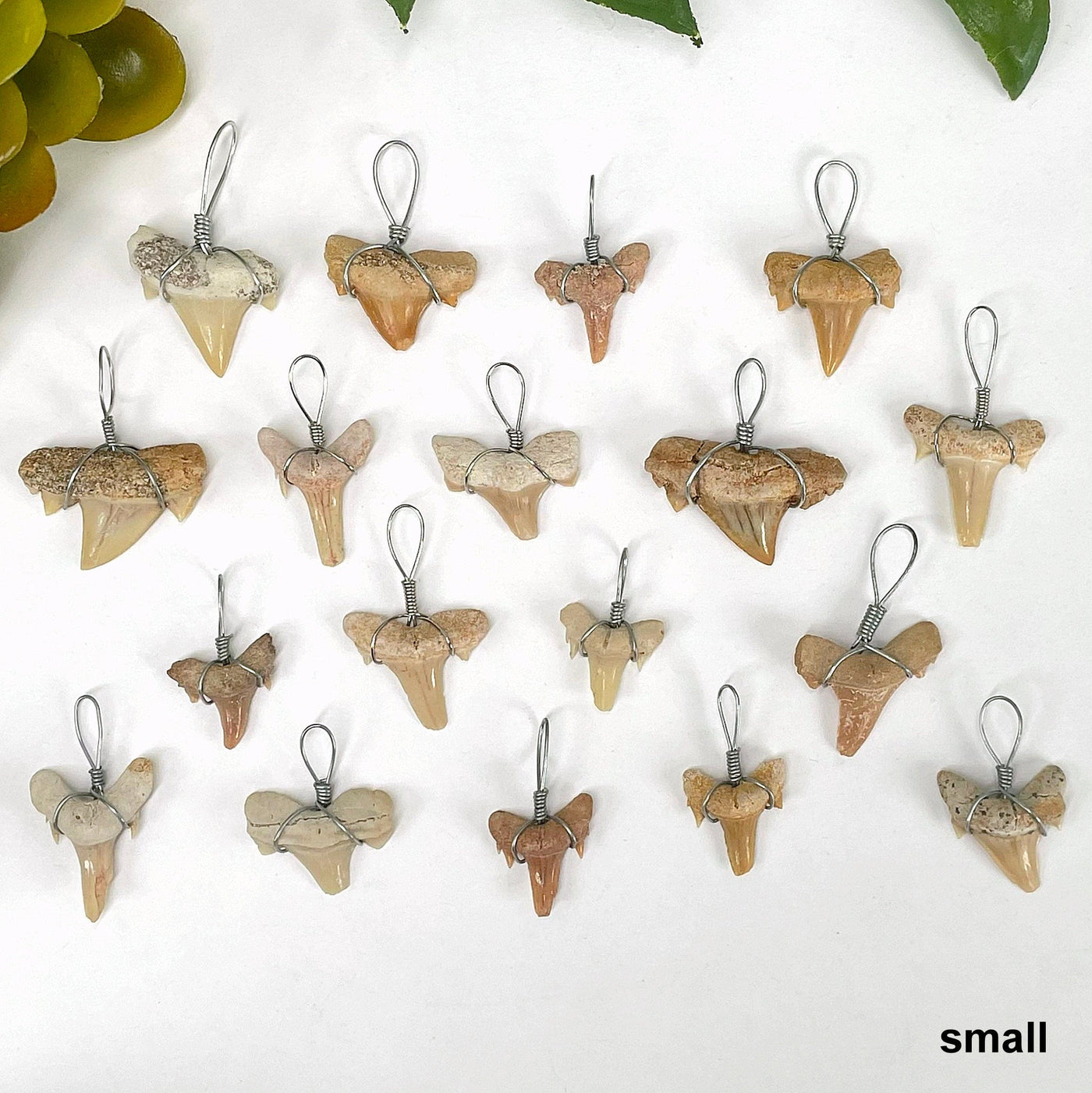 overhead view of many small shark tooth wire wrapped pendants on white background for possible variations