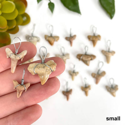 three small shark tooth wire wrapped pendants in hand for size reference and possible variations with many others in background