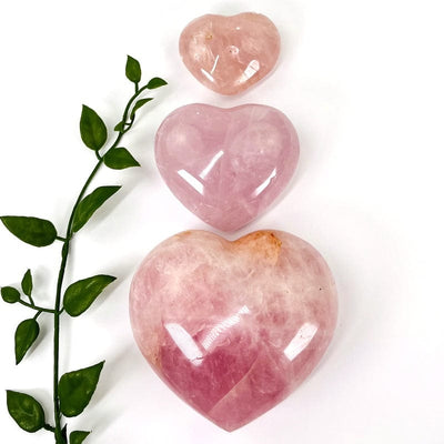 rose quartz puff hearts showing the differences in the sizes 