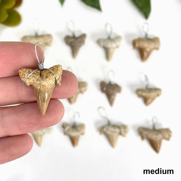 Wire wrapped shark tooth necklace sales