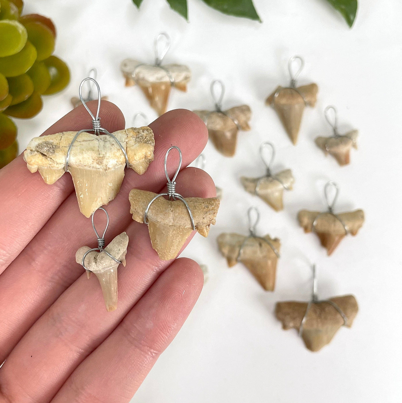 three shark tooth wire wrapped pendants in hand for possible variations and size reference with many others in the background