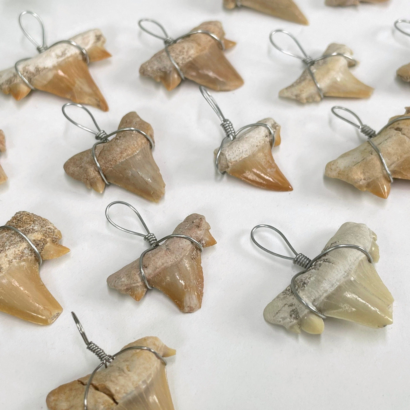 angled view of many shark tooth wire wrapped pendants on white background for thickness and damage and style variations