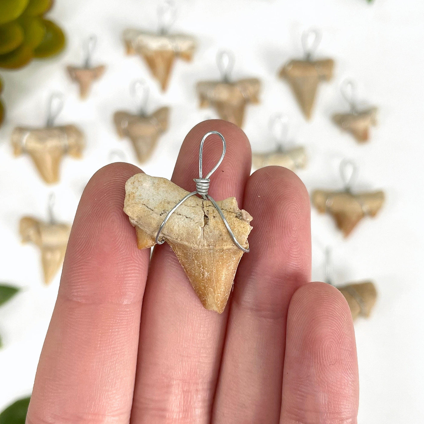 close up of one shark tooth wire wrapped pendant in hand for possible sizing and damage
