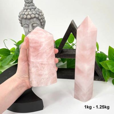 one 1kg - 1.25kg rose quartz polished points in front of backdrop for possible variations with one other in hand for size reference