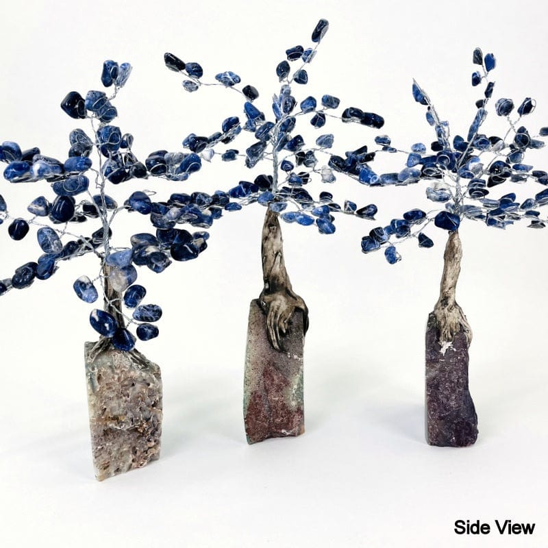 side view of the geode trees displaying the thicknesses 