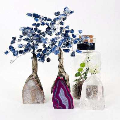 agate base trees with tumbled sodalite stones used as home decor 