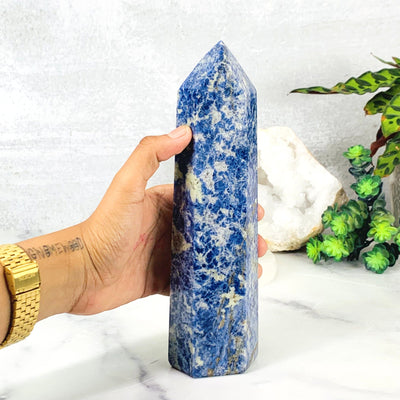 Hand comparing size to the Sodalite Polished Tower
