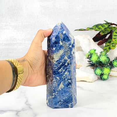 Hand comparing size to the Sodalite Polished Tower Point
