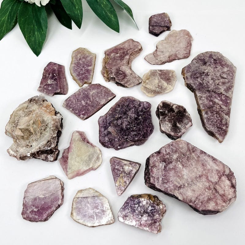 multiple lepidolite with mica slabs on a white background displaying the different possible sizes 