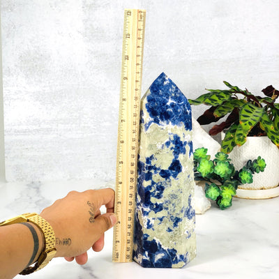Ruler comparing size to the Sodalite Polished Tower Point