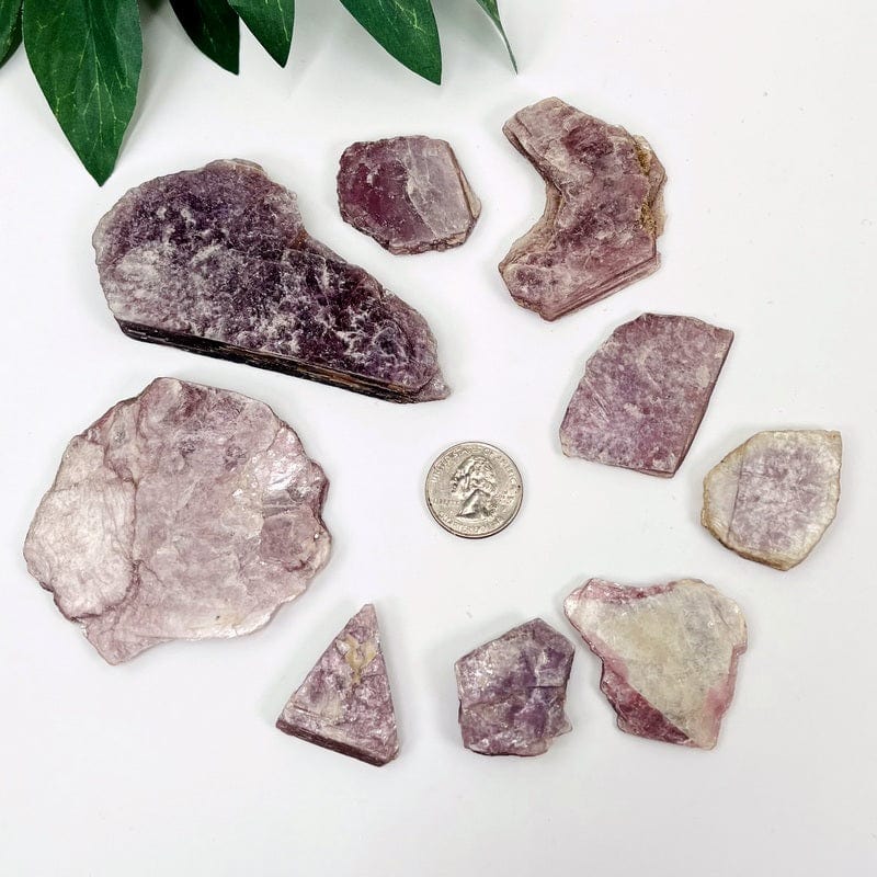 lepidolite with mica slabs next to a quarter for size reference 