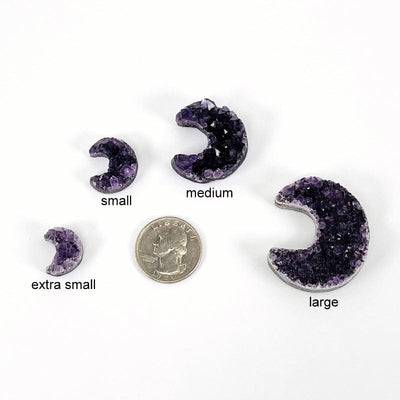 amethyst shaped as moon crescents next to a quarter for size reference  