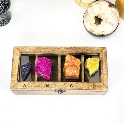 Display of all 4 dyed Amethyst cluster of your choosing from A to B