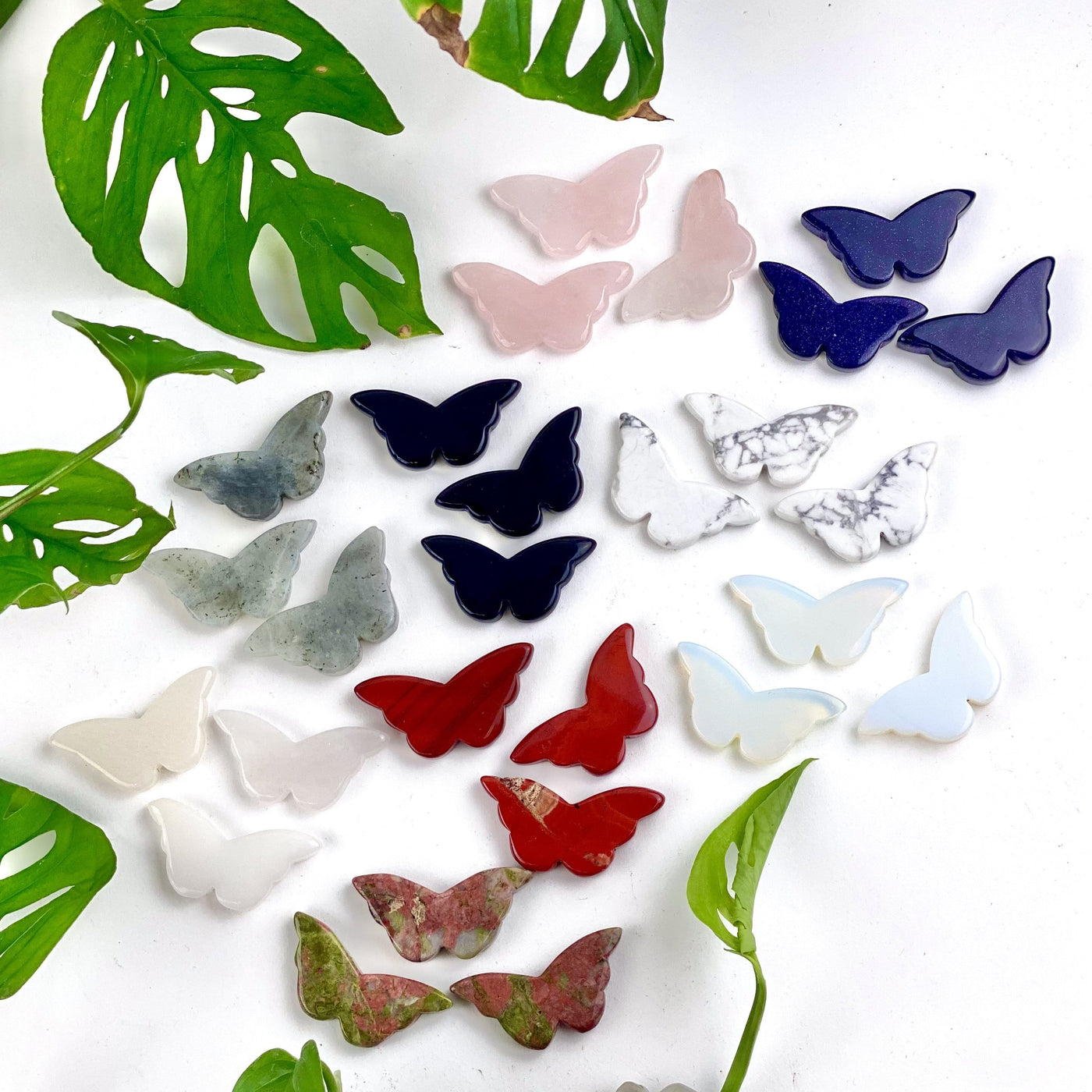 Assorted butterflies on a white background