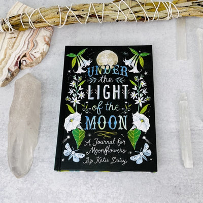 cover photo of the journal names under the light of the moon by katie daisy 