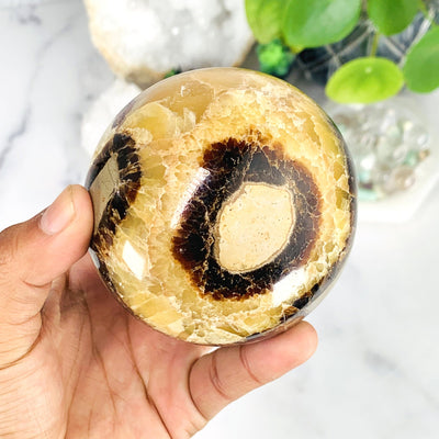 Polished Sphere Septarian on hand