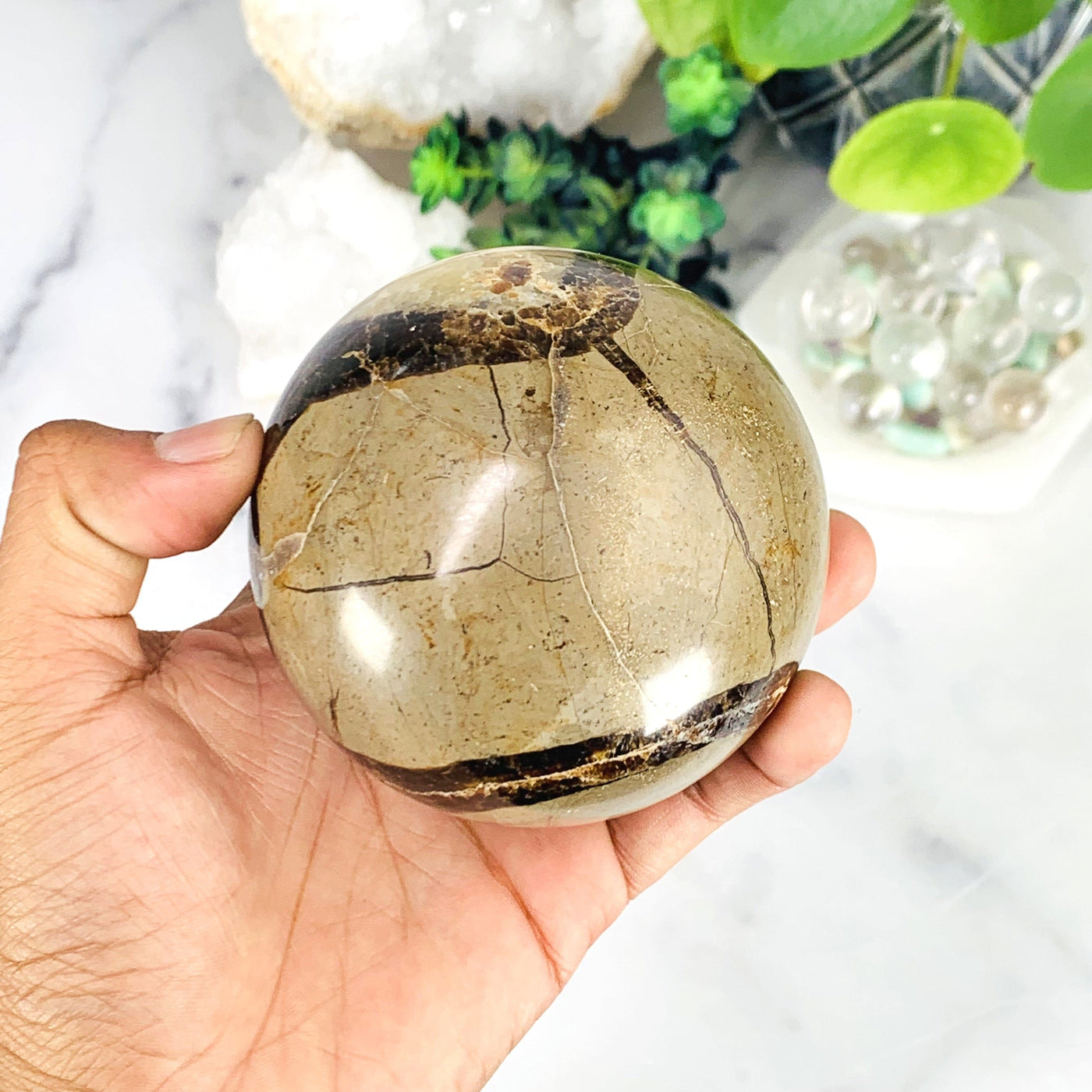 Backside of the Polished Sphere Septarian on hand 