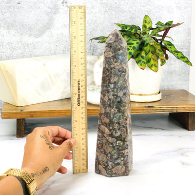Ruler comparing size to the Rhyolite Polished Point