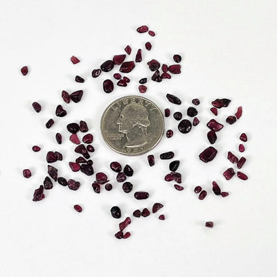 small garnet chips next to a quarter for size reference 