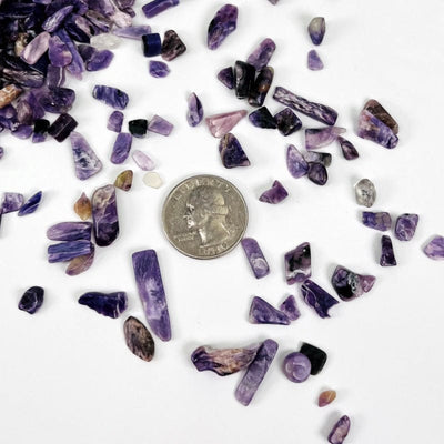 small tumbled charoite chips next to a quarter for size reference 