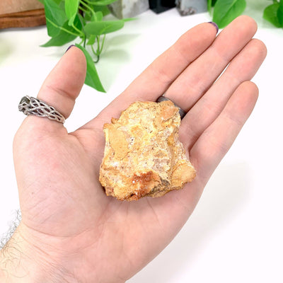 bottom of vanadinite cluster in hand with white background