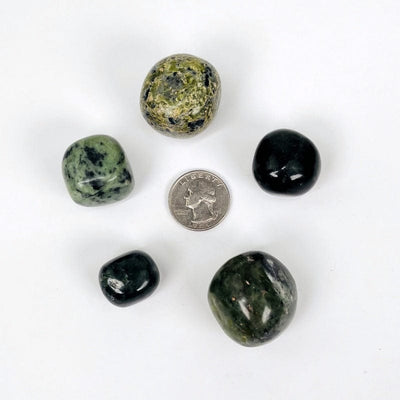 nephrite tumbled stones next to a quarter for size reference 