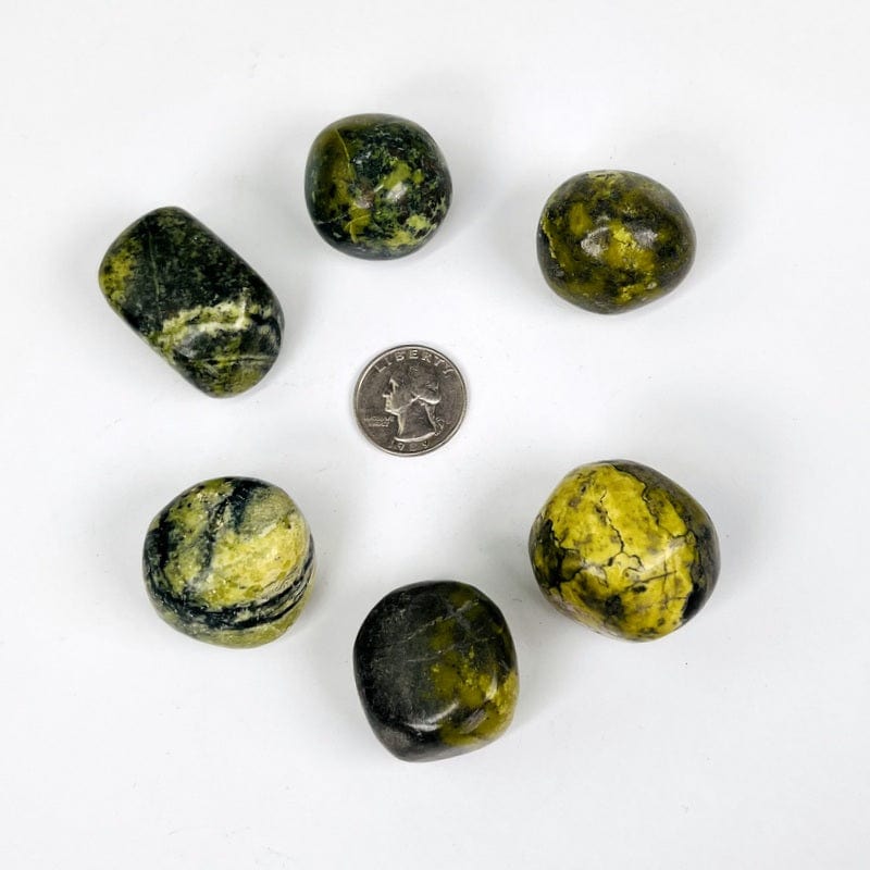 multiple serpentine tumbled stones next to a quarter for size reference 