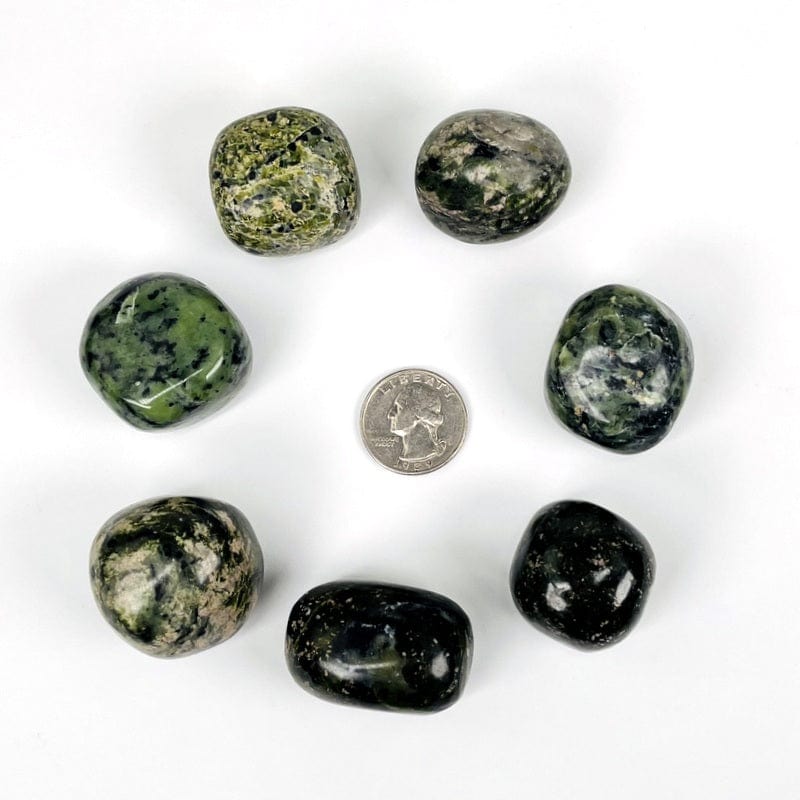 nephrite tumbled stones next to a quarter for size reference 