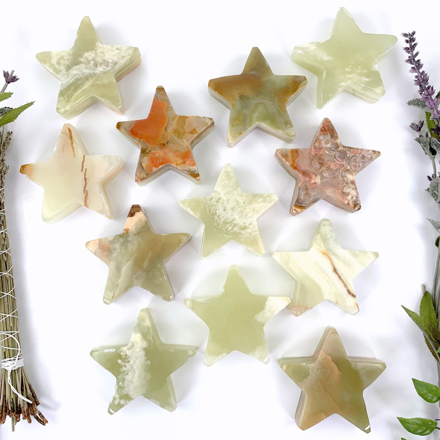 12 stars laid out on a white background to display color and characteristic variations